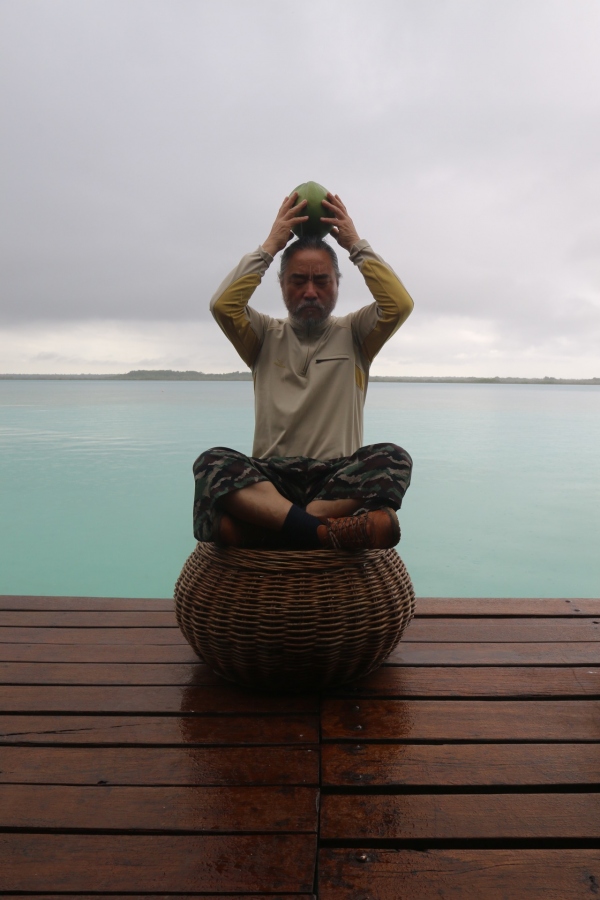 Coconut meditation